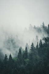 Wall Mural - misty mountain landscape
