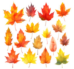Wall Mural - Collection of multicolored autumn maple leaves in watercolor style isolated on white background