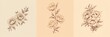 Set of sketch of a tattoo blooming flowers in a bouquet and on branches on a beige background, AI generated