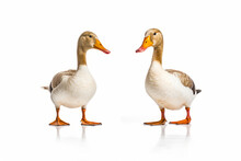 Couple Of Ducks Standing Next To Each Other On White Surface In Front Of White Background. Generative AI.