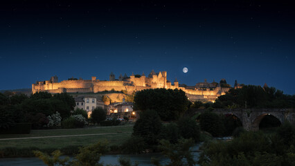 Wall Mural - Carcassonne Castle in France by night