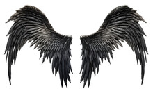 Spread Black Dark Demon Feather Angel Wings On Transparent Background