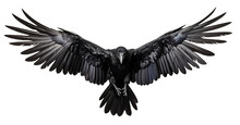 Set Of Raven Crow Birds With Spread Wings