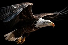 PNG Of Lone Bald Eagle In Flight. Generative AI