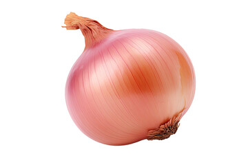 Poster - Onion, placed on a transparent background, with a clipping path, and fully in focus.