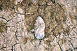© Synchro Shoot/Stocksy - Plastic trash