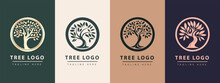 Tree Vector Icon. Logo Design Premium Vector. Botanical Plant Nature Symbol. Nature Trees Illustration Logo Design Vector Illustration.
