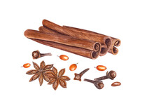 Cinnamon Sticks, Sea Buckthorn, Cloves, Star Anises Isolated On White Background. Watercolor Botanical Illustration For The Design Of Invitation, Cards, Advertising Posters, Labels