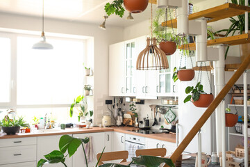 The interior of a white kitchen with a metal staircase in a cottage with potted plants in hanging planters. Green house in a modern style