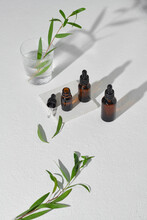 Fresh Tea Tree Twigs And Essential Oil On The White Background