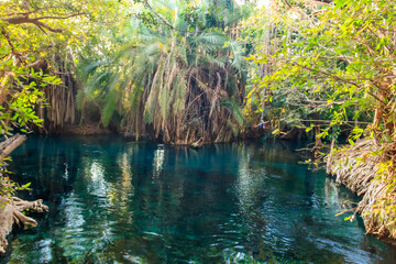 Sticker - Chemka hot springs (Kikuletwa) near Moshi,  Tanzania