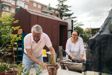 Mature People Working In A Collaborative Urban Orchard