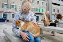 Children And Stray Cats In The Town