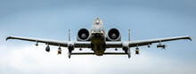 The Warthog Flying A Mission.
