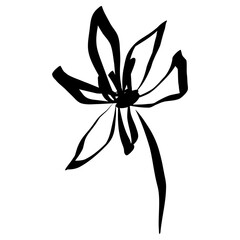 Canvas Print - Flower Icon. Simple Hand Drawn Floral Element. Black Sketch ink Drawing Plant. Wildflower