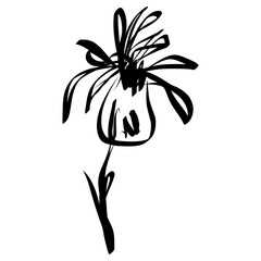 Wall Mural - Flower Icon. Simple Hand Drawn Floral Element. Black Sketch ink Drawing Plant. Wildflower
