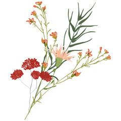 Wall Mural - Field Flowers on Branch. Wildflower Icon. Hand Drawn