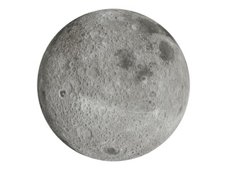 Wall Mural - full moon closeup 001