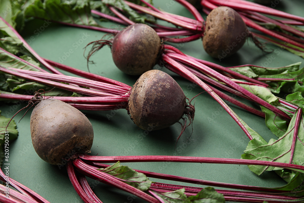 Fresh beetroots with leaves on green background