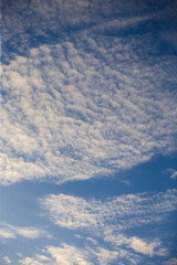 Wall Mural - blue sky with cloud closeup. Beautiful nature background with clouds.