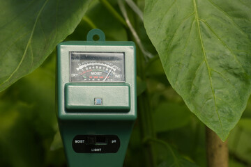 Wall Mural - Three way meter PH, light and moisture in the soil