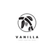 Vanilla logo. Vanilla silhouette plant with a minimalist circle frame, for logos with vanilla aroma.