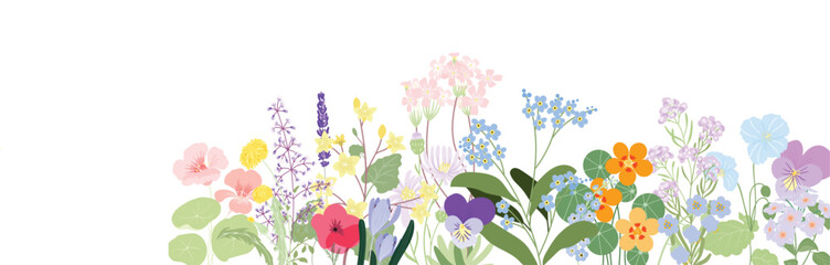 Wall Mural - minimal Hand drawn flowers and leaf with sketch line vector in Spring and summer collection