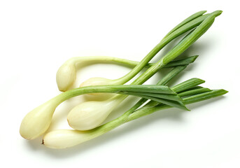 Canvas Print - fresh green onions