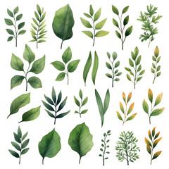 Leaves green clipart