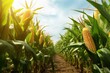 corn crobs in a corn plantation created using generative AI tools