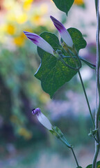 Wall Mural - Twisted bell flowers