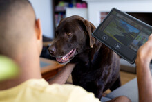 Biracial Man Petting Dog In Living Room, Holding Tablet With Home Security Camera Views On Screen