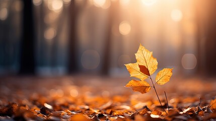 Wall Mural - close up falled leaves on ground with sunlight and bokeh, peaceful Autumn and fall season foliage wallpaper background, Generative Ai