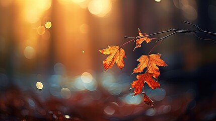 Wall Mural - close up maple branch at riverside  with sunlight and bokeh, peaceful Autumn and fall season foliage wallpaper background, Generative Ai