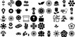 Big Collection Of Flower Icons Bundle Hand-Drawn Black Drawing Signs Drawn, Princess, Silhouette, Mark Pictograph Isolated On White Background