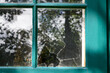 A clear transparent pane of glass in a green wood antique window broken with a hole from a gunshot. The glass has cracks, chips, and a shatter pattern. The remaining glass panes have trees reflecting.