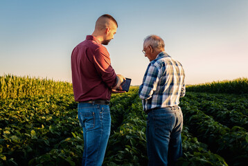 Wall Mural - Two farmers standing in a field examining soy crop while using table