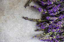 Overhead View Of Lavender Flowers On A Grey Background