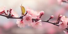 Fool's Bloom: Pink Peach Tree Flowers On Pink Background Pink Peach Blossoms: Vector Illustration  Ai Generated 