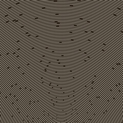Leinwandbilder - Abstract background with white lines in circle over black background.