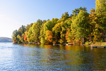 Wall Mural - Colourful forested shores of a lake lit by a setting sun in autumn