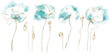 Poppies - Set of wildflowers. Combination of turquoise watercolor and gold line art drawings. Hand drawn illustration. Blooming flowers and buds. Summer meadow theme. Vector separated objects.