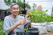 © Jestercine - Portrait of Happy senior asian man is trimming tree with scissors in nursery. He smiles happily in life after retirement.