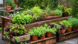 home gardening vegetables in raised beds