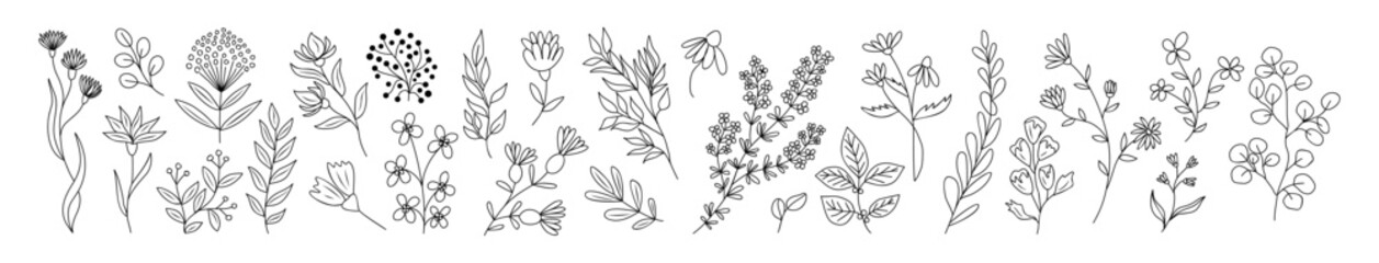 set of tiny wild flowers and plants line art vector botanical illustrations. trendy greenery hand dr