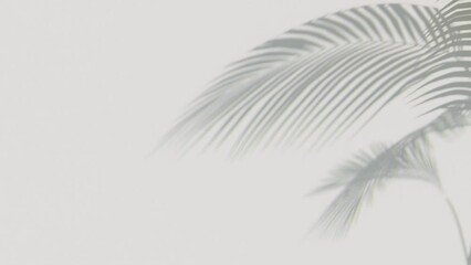 Shadow of palm’s leaf movement, 3d illustration rendering 