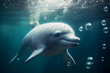 Beluga whale playing with bubbles underwater, Whale, bokeh 