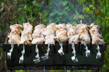 meat is roasted on the grill close-up