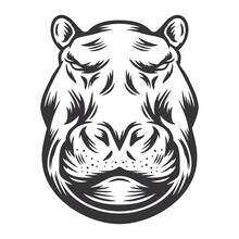 Hippo Head Design Lineart. Farm Animal. Hippopotamus Logos Or Icons. Vector Illustration