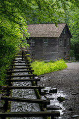 Wall Mural - mingus mill